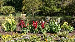 12: BillKirms_2026-147